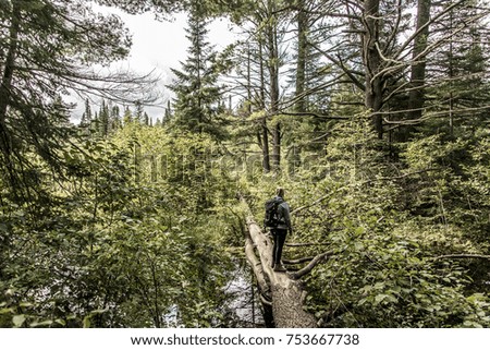 Girl hiking in Canada Ontario Lake of two rivers - natural wild landscape near the water in Algonquin National Park