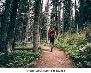 Girl Hiking Into The West Canadian Forest