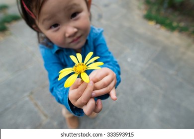 Girl hold out a Flower