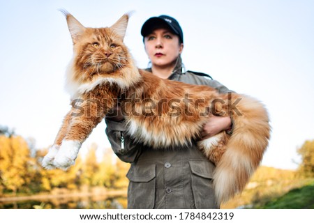 A girl holding in arms a huge maine coon cat in forest in fall.