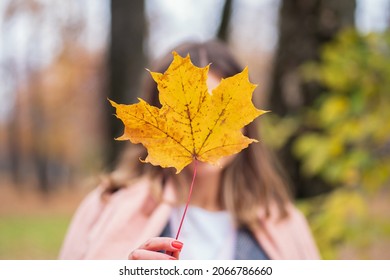 A Girl Holding An Autumn Yellow Maple Leaf In Front Of Her