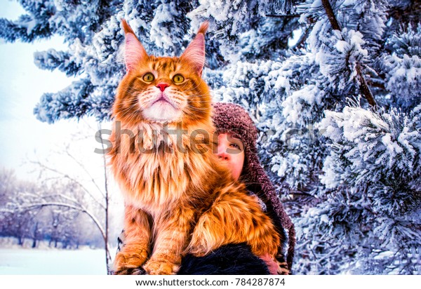 frosty forest siberians