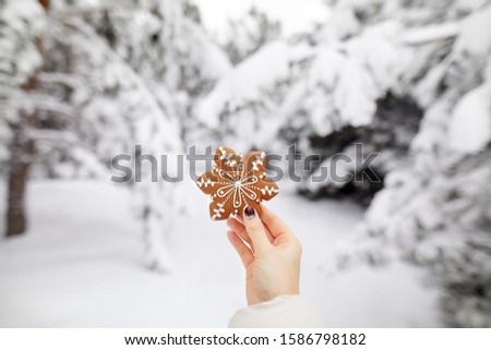 Girl holding ginger bread cookie in winter forest at Christmas time