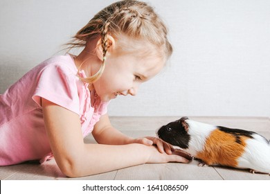 girl holding a guinea pig in her arms, on a white background. a lot of joy and fun