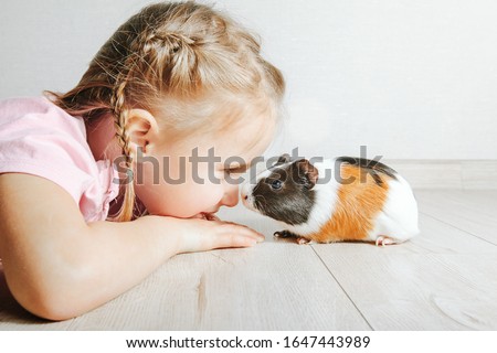 girl holding a guinea pig in her arms, on a black background. a lot of joy and fun