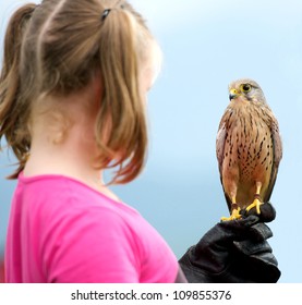 a girl holding a hawk
