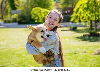 Girl holding her corgi puppy in her arms. A girl plays with her corgi puppy on a green lawn on a sunny day. - Powered by Shutterstock