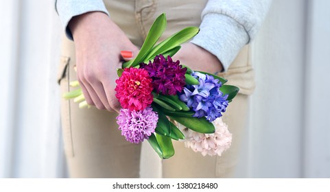 Girl Holding Hyacinths In Pink, Blue, Purple And White. Boquet With Bulb Flowers To Celebrate Spring. 