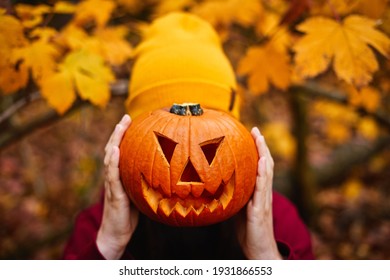  Girl holding jack-o-lantern in front of face. Carved halloween spooky pumpkin. Gold autumn colors.