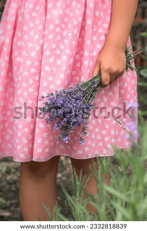 Similar – #A# Lavender morning 1