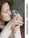 Girl holds cute hedgehog in her hands. Portrait of pretty curious muzzle of animal. Favorite pets. Atelerix, African hedgehogs. High quality photo