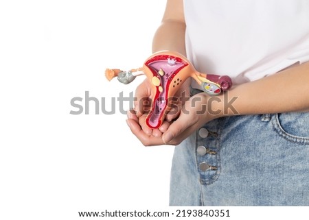 The girl holds in her hands a medical model of the female reproductive system on a white background. Concept of gynecological diseases and their treatment. 