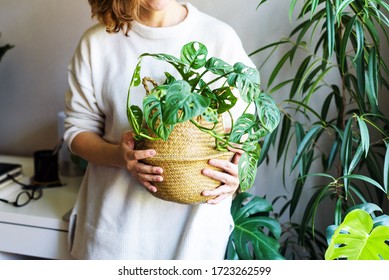 girl holds a houseplant in her hands. hobby houseplants. self-isolation leisure. Comfort in home - Shutterstock ID 1723262599