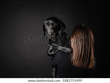 A girl holds a Labrador Retriever dog in her arms. Taken close-up in a photo Studio, on a black back
