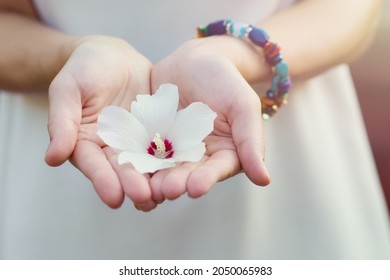 The girl holds a white flower in her open palms. A symbol of tenderness, femininity, chastity. Hands with a flower close-up. Copyspace - Shutterstock ID 2050065983
