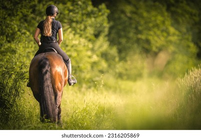 Girl horse rider on the green field. Trees in the background. Equestrian theme.