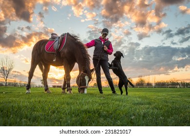 Girl and horse at sunset
