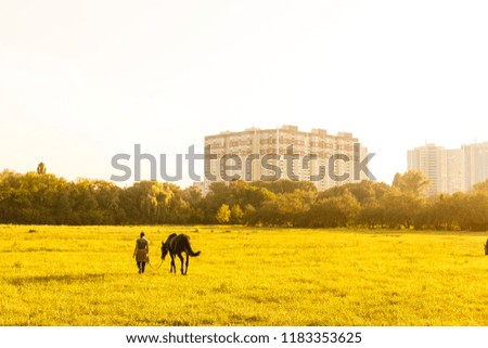 Girl and horse at sunset