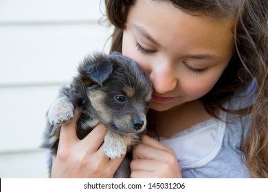 Girl Hug A Little Puppy Dog Gray Hairy Chihuahua Doggy