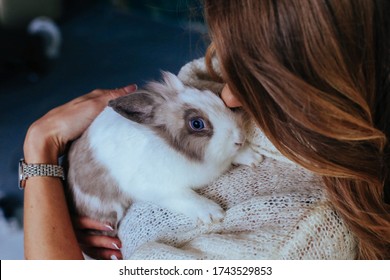 Girl Hugs A Cute White Rabbit At Home.a Girl With A Rabbit, Bunny Pet.close Up Hands Girl Cuddling A Lop-eared White Rabbit Against Her On Studio 