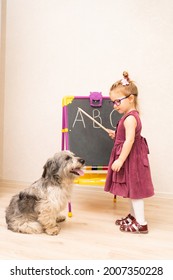 The Girl Imagines Herself As A Teacher And Plays With Her Dog At School. The Teacher Shows The Letters On The Blackboard To The Pet. The Dog Is Not Interested In Learning And Looks Away