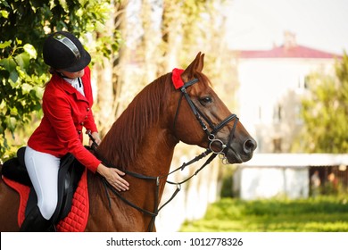 Girl jockey stroking a horse's neck outdoors. A pedigree horse for equestrian sport. - Powered by Shutterstock