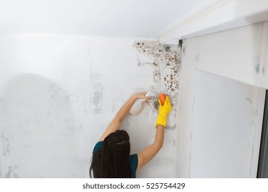 Girl Kills Mold At Home