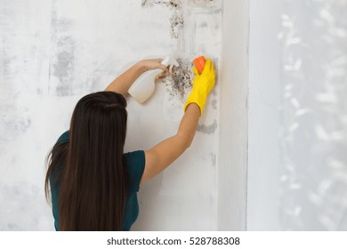 Girl Kills Mold At Home