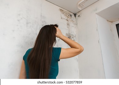 girl kills mold at home - Shutterstock ID 532077859