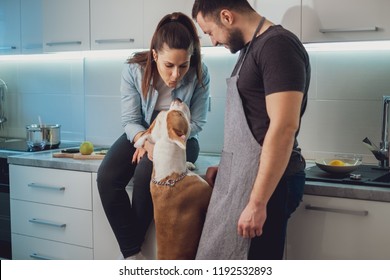 Girl kissing her dog while sitting on the kitchen countertop by her boyfriend - Powered by Shutterstock