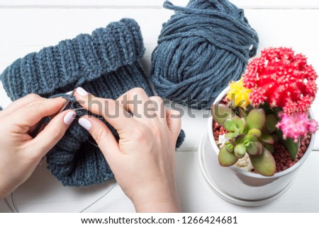 The girl knits a hat with needles top view, close-up, white background and succulent