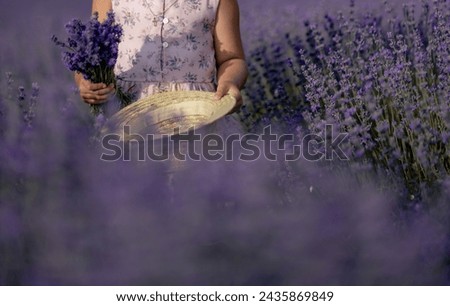 Similar – #A# Morning Sun Lavender 1