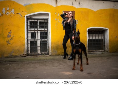 699 Hot girl walking dog Stock Photos, Images & Photography | Shutterstock