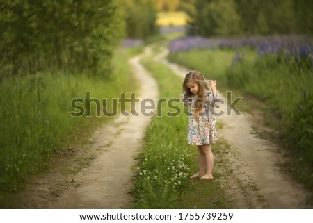 A girl with long blond hair is standing on the path and looking at small wild flowers. Fields of lupins grew on the roadside. Image with selective focus.