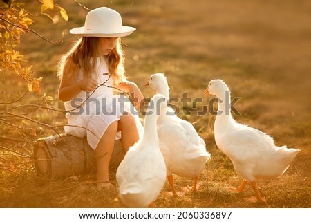 A girl with long hair and a white hat feeds the ducks on a summer sunset evening. Image with selective focus and toning.