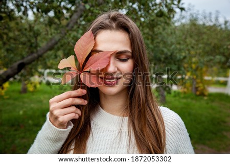 A girl with long hair in a white sweater holds a red autumn leaf of wild grapes near her face. Girls in the park on the background of wild grapes
