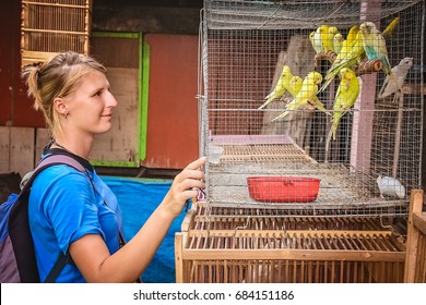Girl looking at yellow parrots for sale in a livestock market in Yogyakarta, Java, Indonesia