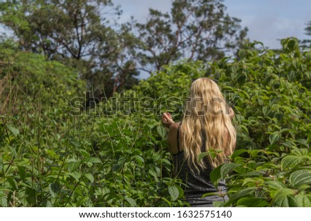 Similar – Image, Stock Photo make way for the king