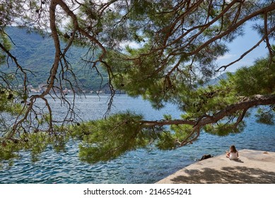 A girl meditates on the embankment of Kotor Bay under the large branches of a pine tree. Looking at the Perast town in the Kotor Bay, Adriatic sea. Montenegro