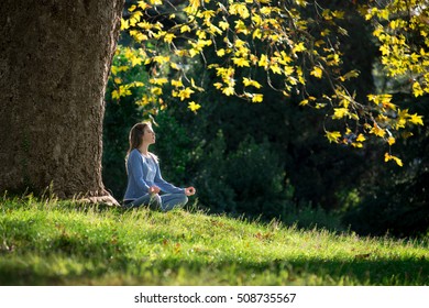 195,799 Tree meditation Images, Stock Photos & Vectors | Shutterstock