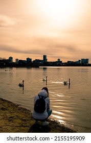 Girl In Nature Feeding Swans