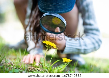 Girl observing a dandelion with a magnifying glass