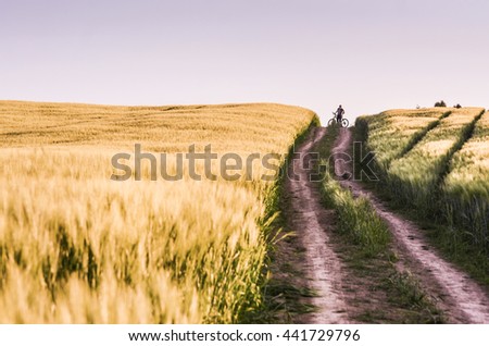 Girl on bicycle on horizon between two summer agricultural fields.