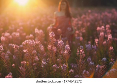 Girl On Blooming Sally Flower Field At Sunset. Lilac Flowers And Woman