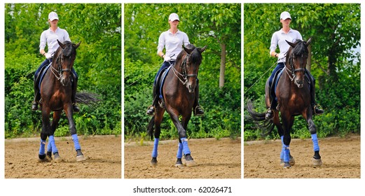 Girl On Dressage Horse Doing Half Pass