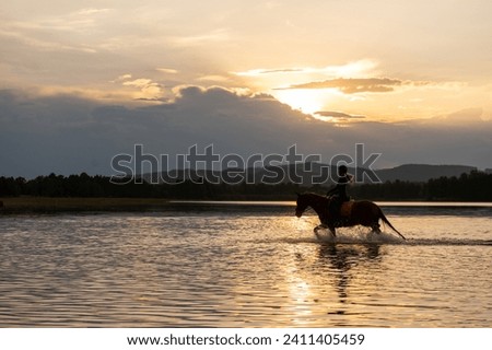Girl on horseback crossing water at sunset
