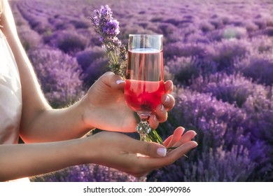 Girl On A Picnic In The Lavender Field Of Provence With A Glass Of Pink French Wine And A Bouquet Of Lavender In Her Hands At Sunset. Growing Lavender For Medical Purposes And The Perfume Industry.