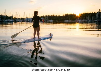 Girl On A Stand Up Paddle Board In Coal Harbour, Downtown Vancouver, British Columbia, Canada. Taken During A Beautiful Sunset.