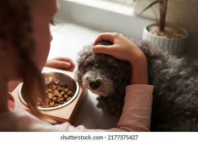 Girl Patting And Feeding Her Small Dog On Kitchen Counter