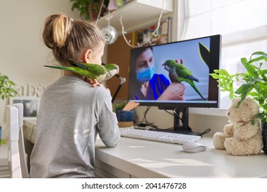 Girl And Pet Green Parrot Together At Home, Child Watches Video On Computer